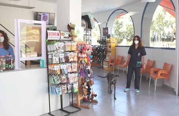 atencion 2 albufereta interior clinica albufereta 2025